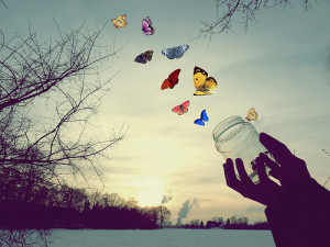 Borboletas transmitem calma,serenidade,e são tão lindas.