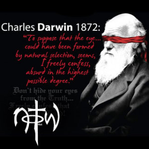 Darwin eye evolution