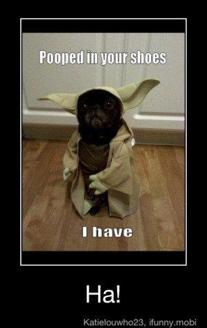 Star Wars Quotes Funny Yoda Funny Star Wars Yoda