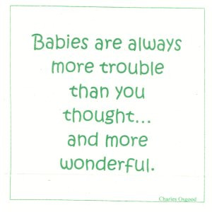 Talking Quilts Baby Quotes, 12 squares, 6 1/2