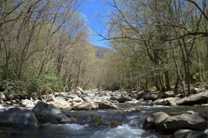 Great Smoky Mountains National Park, Fly Fishing, Fly Fishing the ...