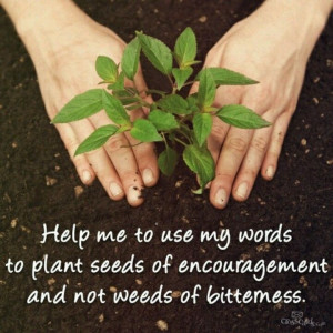 Plant seeds of encouragement