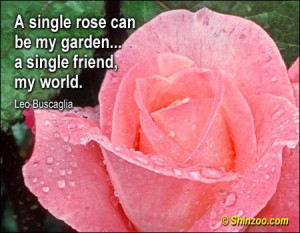 leo buscaglia quote about world rose garden friend best friend