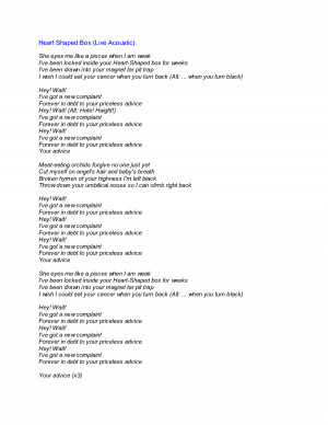 Nirvana Heart Shaped Box Lyrics Video Clinic