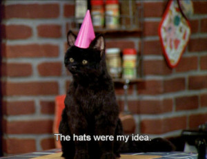 funny 90s Sabrina the teenage witch salem salem the cat