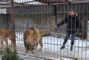 Dono de zoológico decide morar cinco semanas em jaula com leões