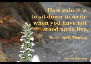 Quotes From Henry David Thoreau