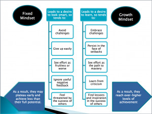 to juxtapose fixed and growth mindsets