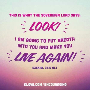 Pinned by Maghan Harmon