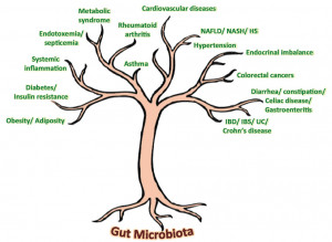 Gut microbiota: the next-gen frontier in preventive and therapeutic ...