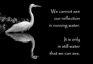 Taoist proverb...: Water, Taoism Quotes, Taoist Proverbs B ...