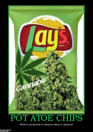 Funny Quotes Contact Us DMCA Notice