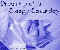 sleepy Saturday quotes quote morning saturday saturday quotes