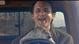groundhog-day bill murray