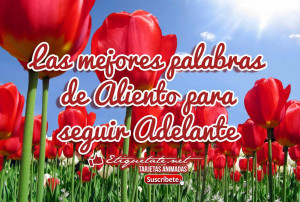 frase para salir adelante frases de es mejor as frases para un dia