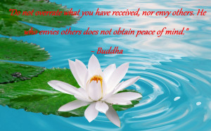 ... . He who envies others does not obtain peace of mind.” – Buddha