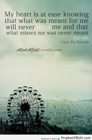 Leave a comment about 