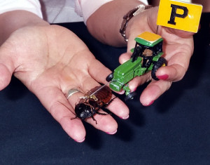 Wallpapers For Myspace And