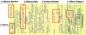 SECTION 3: INFORMATION ON YOUR TRAFFIC TICKET