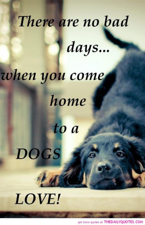 dogs-love-animal-lovers-pics-quotes-sayings-pictures.jpg
