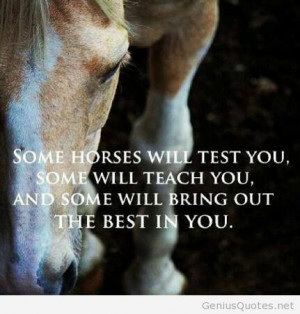 Horses quote with wallpaper