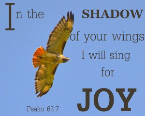 In The Shadow of Your Wings I Will Sing For Joy - Joy Quotes