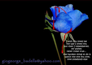 Blue Rose Many Quotes Image Picture Code