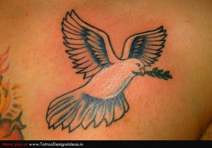 Dove Tattoos Bird