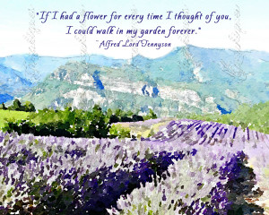 ... Lavender Watercolor Fine Art Reproduction Print with Flower Quote