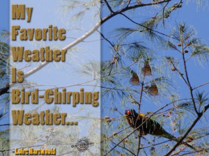 ... Weather Is Bird-Chirping Weather ” - Loirc Hartwould ~ Spring Quote