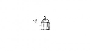 free #free bird #birds #bird #happy