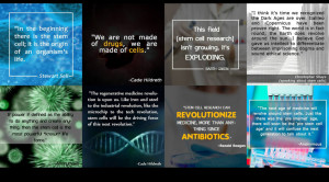 ... stem cells regenerative medicine stem cell banking stem cells