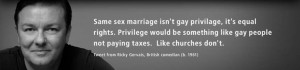Same sex marriage isn't gay privilage, it's equal rights. Privilege ...