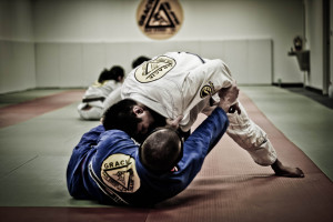 Gracie Jiu Jitsu 391 1024x682 Brazilian Martial Arts