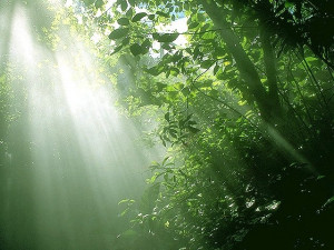 Found on google.co.jp