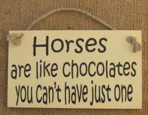 horse funny wooden sign, horses are like chocolate, ideal gift present
