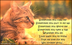 Cute quote about cats as pets