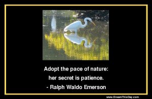Adopt the pace of nature: her secret is patience.