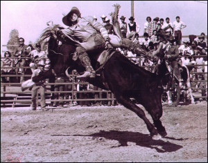 Chris LeDoux : Bronc Rider