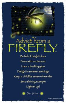 Advice from a Firefly Frameable Art Postcard More