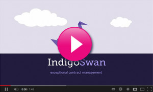 Indigo Swan is an independent, self funded, profitable business energy ...