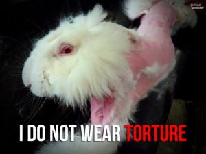 Angora bunnies have their fur RIPPED from their skin while they're ...