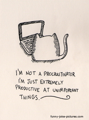 Funny procrastination cat cartoon joke image