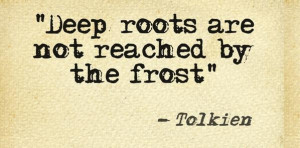 ... not wither, deep roots are not reached by the frost. J.R.R. Tolkien