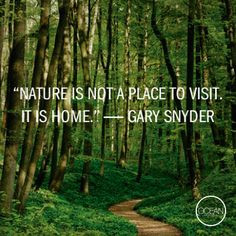Nature is not a place to visit. It is home -Gary Snyder More