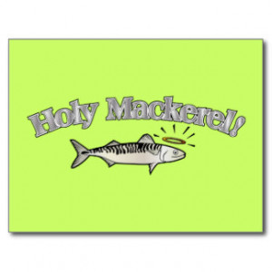 Holy Mackerel - Funny Fish Word Play Postcards
