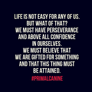 primal canine dog training morgan hill quote