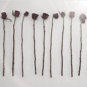 Video posted to Instagram by myworldofinsecurity October 06, 2014 at ...