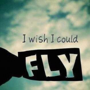 COULD fly