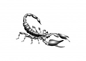 Scorpion Tattoos Meanings